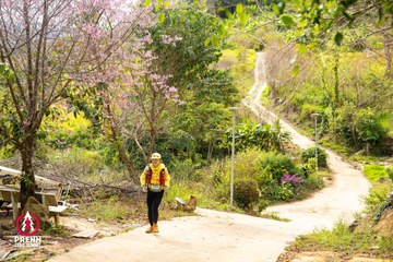 Ảnh sự kiện PRENN TRAIL SUMMIT 2025 - 57be939437a8cd6f47a0464c03829b1b.jpg