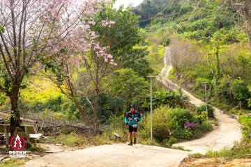 Ảnh sự kiện PRENN TRAIL SUMMIT 2025 - 57c4cadfdd83f2f979b7be3f7164aed6.jpg