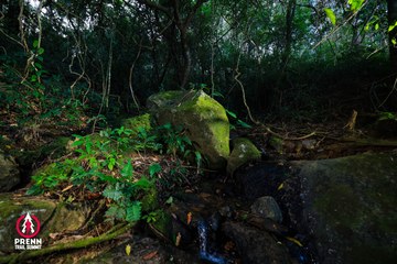 Ảnh sự kiện PRENN TRAIL SUMMIT 2025 - 581d5a059990987b9b7fa1bab45e4a66.jpg