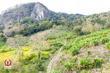 Ảnh sự kiện PRENN TRAIL SUMMIT 2025 - 597600f80fa0fd619dd94060b2f5f07b.jpg
