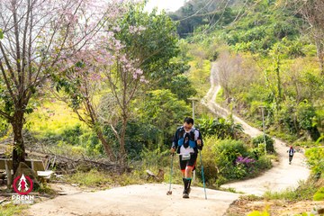 Ảnh sự kiện PRENN TRAIL SUMMIT 2025 - 59bf3050b753a8ae46d7dd5bbf323ad5.jpg