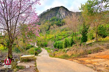 Ảnh sự kiện PRENN TRAIL SUMMIT 2025 - 5a4be70f4464dedab5316ec53094663d.jpg