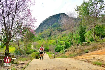Ảnh sự kiện PRENN TRAIL SUMMIT 2025 - 5c389c8c91a5467d87b010e7312ddf90.jpg
