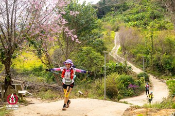 Ảnh sự kiện PRENN TRAIL SUMMIT 2025 - 5e04b709fa9ef76451bd0c40dc9abdea.jpg