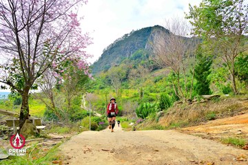Ảnh sự kiện PRENN TRAIL SUMMIT 2025 - 5e99e42e9f7c15b42da5124f7a0e6126.jpg