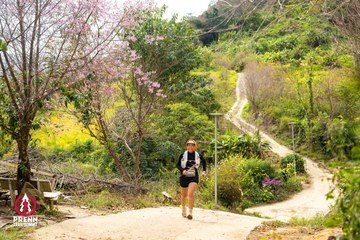 Ảnh sự kiện PRENN TRAIL SUMMIT 2025 - 603fa07fa3539940a5a5e6a7c1d87d6a.jpg