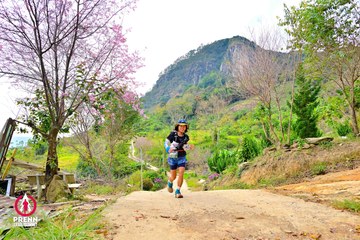 Ảnh sự kiện PRENN TRAIL SUMMIT 2025 - 6126346014eec9d2c68f62c1c41c4f85.jpg