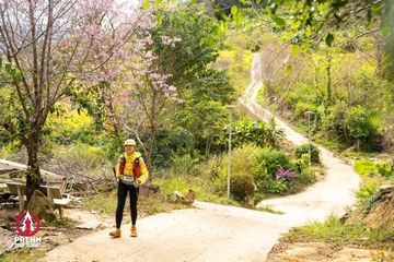 Ảnh sự kiện PRENN TRAIL SUMMIT 2025 - 619b81eb3678b40e2fd782e3fea081dd.jpg