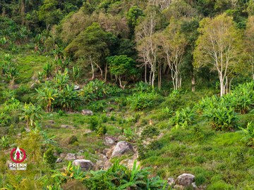 Ảnh sự kiện PRENN TRAIL SUMMIT 2025 - 61f1daee01a4fc65fc0a0f373a28c143.jpg