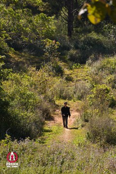 Photo PRENN TRAIL SUMMIT 2025 - 6214428c6896ce01cddd172ac05bf415.jpg