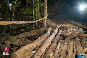 Ảnh sự kiện PRENN TRAIL SUMMIT 2025 - 62a94dfebe9b3a463eb8cb1dfd01c590.jpg