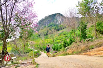 Ảnh sự kiện PRENN TRAIL SUMMIT 2025 - 63db07ca3c482f52cc103e4003eb6d14.jpg