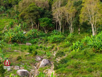 Ảnh sự kiện PRENN TRAIL SUMMIT 2025 - 6508f22cbba47ed88fa73e5e82d8a71c.jpg