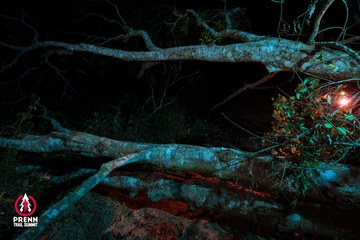 Ảnh sự kiện PRENN TRAIL SUMMIT 2025 - 672e903d6690f400e455a9ca3da71b24.jpg