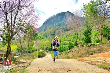 Ảnh sự kiện PRENN TRAIL SUMMIT 2025 - 6746d003b878c8de3a4d60b87509da17.jpg