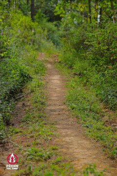 Ảnh sự kiện PRENN TRAIL SUMMIT 2025 - 67e11e4f65174ea6f922ef68352811a6.jpg