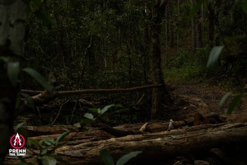 Ảnh sự kiện PRENN TRAIL SUMMIT 2025 - 6978f189e08b791dd64f158f5d183f53.jpg