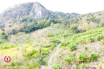Ảnh sự kiện PRENN TRAIL SUMMIT 2025 - 69eff2baf41564af625a077a8f29521d.jpg