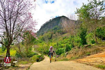 Ảnh sự kiện PRENN TRAIL SUMMIT 2025 - 6af9b72a70205fd609bf0482dd3dec26.jpg