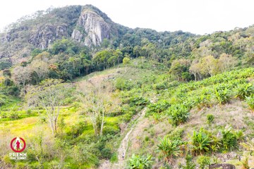 Ảnh sự kiện PRENN TRAIL SUMMIT 2025 - 6b72ee774f927eb1f8752e4a23d6be45.jpg