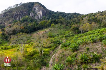Ảnh sự kiện PRENN TRAIL SUMMIT 2025 - 6c2d1af9cabf20de1cedfe1893d205a6.jpg