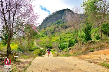 Ảnh sự kiện PRENN TRAIL SUMMIT 2025 - 6caf1538d009737ec0bba9f655e75502.jpg