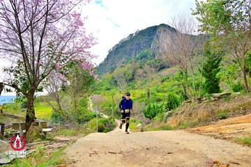 Ảnh sự kiện PRENN TRAIL SUMMIT 2025 - 6d03a13e3cc4acddd5b9d6a58f734650.jpg