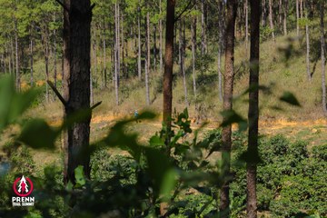 Ảnh sự kiện PRENN TRAIL SUMMIT 2025 - 6d1eddeb206064dde455b18b6a161bb2.jpg