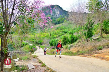 Ảnh sự kiện PRENN TRAIL SUMMIT 2025 - 6d93913a1bb0f7ff5c6a24e2c06c27a9.jpg