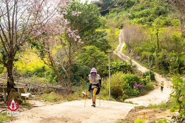 Ảnh sự kiện PRENN TRAIL SUMMIT 2025 - 715f89f7c3fd2e581498a877d1840611.jpg