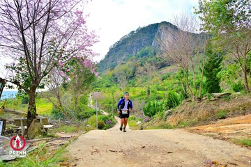 Ảnh sự kiện PRENN TRAIL SUMMIT 2025 - 731142f318d4963e971e530d97be1d4e.jpg