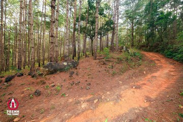 Ảnh sự kiện PRENN TRAIL SUMMIT 2025 - 7414d24ace4680612ef2f1f9418ddcf8.jpg