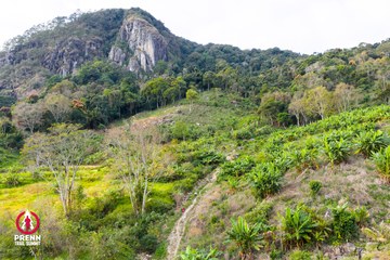 Ảnh sự kiện PRENN TRAIL SUMMIT 2025 - 762d8e93415eb9bb9c8aa58617dff5f3.jpg