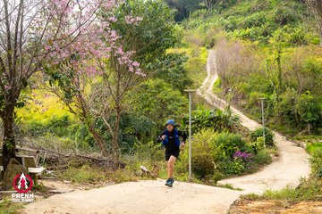 Ảnh sự kiện PRENN TRAIL SUMMIT 2025 - 7684f490b64dbc082acb79b7ddc9b8b0.jpg