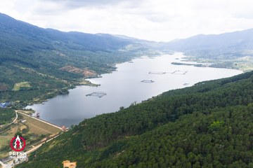 Ảnh sự kiện PRENN TRAIL SUMMIT 2025 - 783f78516469558f3c2744468a19f3ff.jpg