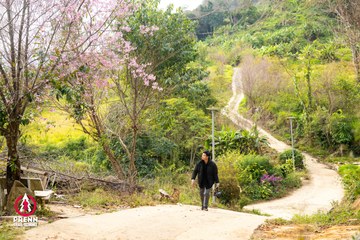 Ảnh sự kiện PRENN TRAIL SUMMIT 2025 - 7991ff9ca3d99834d83d4873e1f29495.jpg