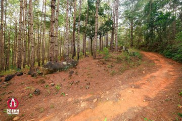 Ảnh sự kiện PRENN TRAIL SUMMIT 2025 - 79f9318d7a91eebf24276e63e9072348.jpg