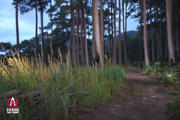 Photo PRENN TRAIL SUMMIT 2025 - 7a21d2c8688fccbb00bf5146fe3f3802.jpg