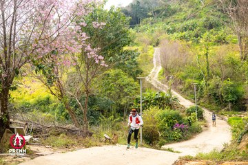 Ảnh sự kiện PRENN TRAIL SUMMIT 2025 - 7ab60e9772de39e20c92a83a20f97cd1.jpg