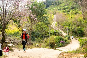 Ảnh sự kiện PRENN TRAIL SUMMIT 2025 - 7ac08d3a418e5b323047bfc4171159bf.jpg