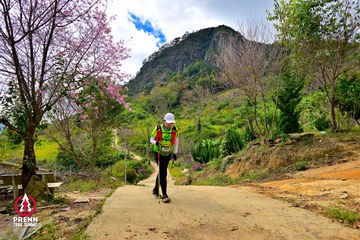 Ảnh sự kiện PRENN TRAIL SUMMIT 2025 - 7d090e40c7e51223f3cd90e680fd9066.jpg