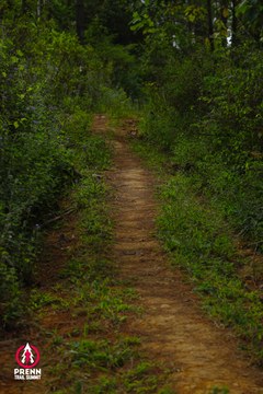 Ảnh sự kiện PRENN TRAIL SUMMIT 2025 - 7d4ce40a3ce87b64ea6b7b8b3a2a1e8f.jpg