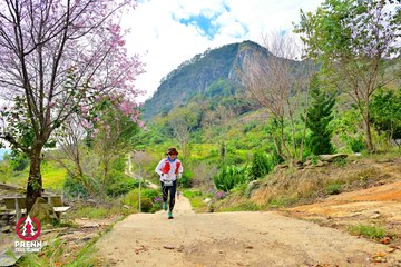 Ảnh sự kiện PRENN TRAIL SUMMIT 2025 - 804fb156783128faa3d3534f4a41d494.jpg