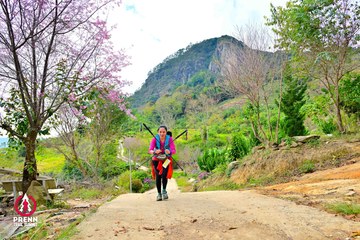 Ảnh sự kiện PRENN TRAIL SUMMIT 2025 - 80dfa26274003db56c534e7019ad0c94.jpg