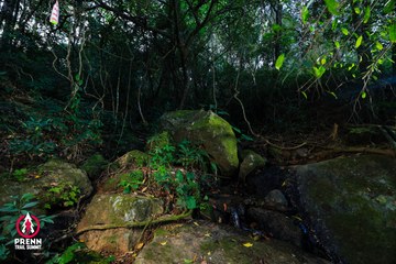 Ảnh sự kiện PRENN TRAIL SUMMIT 2025 - 8191c0bb28e5f7cc0ddd6fd82f4c90d9.jpg