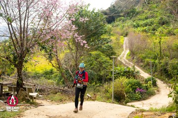 Ảnh sự kiện PRENN TRAIL SUMMIT 2025 - 85b6f52d35e4a898cebf9aa3d26ba3e5.jpg