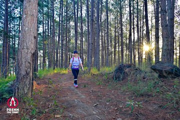 PRENN TRAIL SUMMIT 2025 - Ảnh #4619260