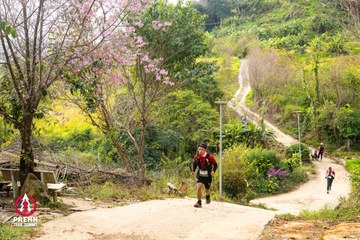 Ảnh sự kiện PRENN TRAIL SUMMIT 2025 - 895556b967bc0cdc8d08812939e48c32.jpg