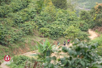 Photo PRENN TRAIL SUMMIT 2025 - 8a553f8761f9371cf2f9f8c560ec1b17.jpg