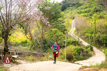 Ảnh sự kiện PRENN TRAIL SUMMIT 2025 - 8aab39c6393f103362502972649798ed.jpg